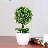 edtara人工植物シミュレートの鉢植え可愛いMicrolandschaftバスルーム/ホーム グリーン ljl-jiaju-0316-25