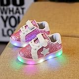 Tovadoo　子供靴　マジックテープ　LED　ライト付き　星柄　合皮製アッパー　ゴム製靴裏　四季通用　滑り止め　履きやすい　つま先保護　可愛い　通学　旅行　女の子　キッズ　13-19cm　1-6歳