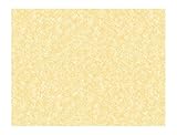 York Wallcoverings AP7412SMP Silhouettes Retro Starburst Splatters Wallpaper Memo Sample, 8-Inch x 1