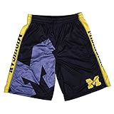 KLEW NCAA Michigan Wolverinesビッグロゴポリエステルショーツ、スモール、ブルー