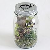 GLASS JAR WITH LED JUNGLE (グラスジャー ウィズ LED ジャングル) Lサイズ
