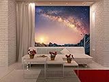 wall26 粘着式 Wall Muralシリーズ 壁紙 大型。 100"x144" WMR-WP-X-D371-100x24x6