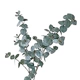 【Blooming＆me】フラワーデザイナー厳選 枯れない 高品質 上質な造花 フレッシュ ヴィンテージ ミント ユーカリ ２本セット [並行輸入品]