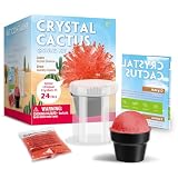 【Eggbox】紫の結晶を育てよう！ビスマス結晶 育成キット 紫 結晶育成キット 実験キット 科学実験キット 小学生 中学生 STEM教材 プレゼント 8歳以上