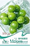 グリーンラウンドオーガニックリトルトマト種子、オリジナルパック、20種子/パック、食用家宝トマトB041