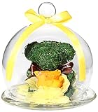 TEATSIGHT(ティートサイト) プリザーブドフラワー 枯れないお花 クリスタル付きガラスドーム バラ1輪（オレンジ） アニマルモス（クマ） スワロフスキー社製クリスタル1粒 クリアケース入り