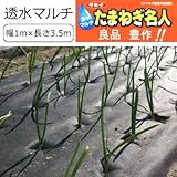 たまねぎ 栽培用 不織布 穴あき マルチ たまねぎ名人 1mｘ3.5ｍ（玉ねぎ100本植え分）