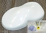 関西ペイントPG80 #531 ホワイト1kgセット（シンナー/硬化剤/道具付）　自動車用 ウレタン塗料 2液 カンペ 白