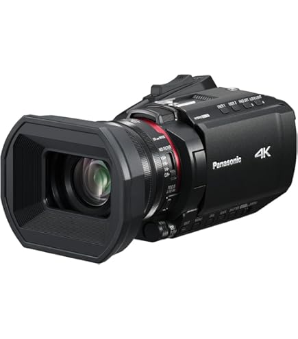 Amazon | Sharp シャープ VL-NZ10 miniDV 液晶ビューカム