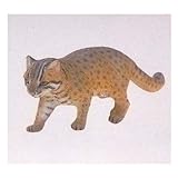 フルタ＆海洋堂 チョコエッグ 日本の動物コレクション 第５弾 １２１：ツシマヤマネコ ほ乳類食玩フィギュア
