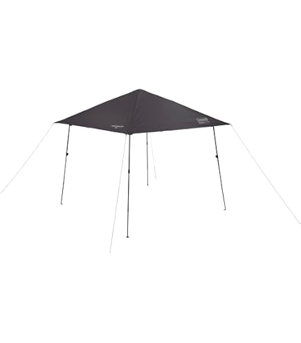 Amazon.co.jp: Coleman Shade Instant Visor Shade II Large Mist Light Blue :  Sports & Outdoors