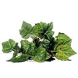 SONONIA 爬虫類　テラリウム　ブドウ　アイビー　ヴァインズ　ヴィバリウム　オーナメント　人工植物　装飾