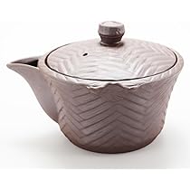 Amazon | 宝瓶 萬古焼 200㏄入れ 茶器 | Minoru Park | ティーポット