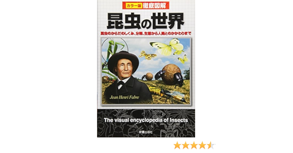 徹底図解 昆虫の世界 昆虫のからだのしくみ 分類 生態から人間とのかかわりまで 秀治 岡島 本 通販 Amazon