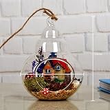 Kicode ひょうたん型 ガラス ハンギング花瓶 植物の花の装飾のため