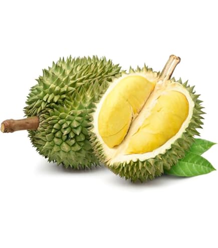 甘〜い新鮮ドリアン半箱 甘〜い新鮮ドリアン半箱 【公式通販】