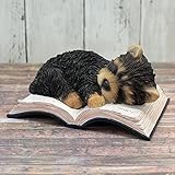 野川農園ヨークシャーテリア(Book)