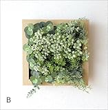 壁掛け 観葉植物 消臭 CT触媒付フェイクグリーンのフレーム L2タイプ [kkm1175] (B)