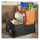 High Road Cargo Cooler Toteとトランクオーガナイザー