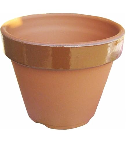 Amazon.co.jp: 鉢 KANEYOSHI 【日本製/安心の国産品質】 陶器 植木鉢