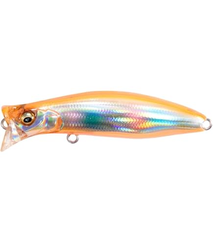 ラッキーさん専用 51wyssVS5zL._UF350,350_QL80_.jpg