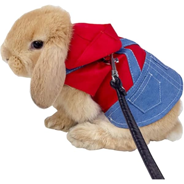 bunny leash amazon