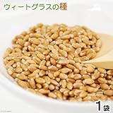 ウィートグラスの種(1袋)小麦若葉 牧草 栽培 家庭菜園 種子