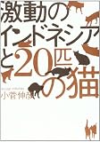 激動のインドネシアと20匹の猫