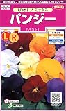 サカタのタネ 実咲花5515 パンジー ＬＲオトノ ミックス 10袋セット