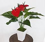 山久 シルクフラワー の アンスリウム の鉢植え M50 VG3598 1909-3261 CT触媒加工 人工観葉植物 造花