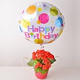 お誕生日バルーン リーガース鉢植え(レッド) ギフトセット 花鉢 フラワーギフト