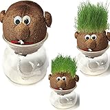 ミニ DIY 魔法草の植物の鍋草ヘッド人形屋内の鉢植え