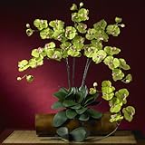 胡蝶蘭シルクOrchid Flower w / Leaves ( 6 stems )