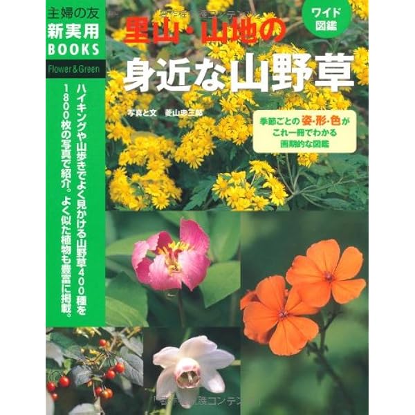 Amazon.co.jp: ワイド図鑑 身近な野草・雑草―季節ごとの姿・形