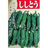 ししとう 種 【 ししとう 】 種子 小袋（約2ml）