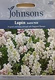JOFL 英国ジョンソンシード Lupin Snow Pixie ルーピン・スノ－・ピクシー