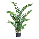 光触媒・人工観葉植物 ザミフォリア 黒(鉢の色)