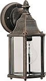 Maxim Lighting 1026RP One Light Glass Wall Lantern, Rust Patina [並行輸入品]