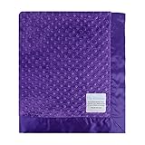 My Blankee Minky Dot Baby Blanket, 30 x 35, Purple by My Blankee