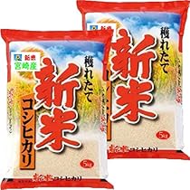 コシヒカリ10キロ 古米（R5年収穫） 令和5年産】コシヒカリ 5kg 玄米 | motoharafarm
