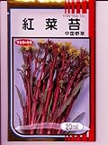紅菜苔　サカタのコウサイタイ種です