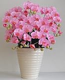 造花の胡蝶蘭 鉢植え 光触媒 アートフラワー Sサイズ-5本立 H50cm(ピンク-白鉢)