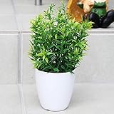 人工観葉植物（05）　リアルでかわいい おしゃれなグリーン 【 造花 雑貨 】