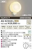 コイズミ照明　アウトドアライト【AU42344L】