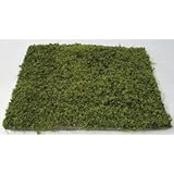 コケ・緑化用混合(砂苔+ハイ苔 ヤシマット) 緑の絨毯 8枚セット 植木 庭木 苗木
