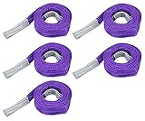 SEIKOH スリングベルト 5本セット 3m 幅25mm 使用荷重800kg ナイロンスリング 吊上げ 牽引