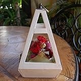 パラボッセオリジナル プリザーブドフラワー テラリウム レッド 横幅12cmx12cmx高さ20cm preserved flowers