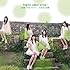 東京女子流「追憶 -Single Version- / 大切な言葉(Type-A)」