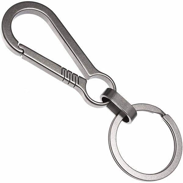 Amazon.co.jp: [Yicdfur] キーホルダー キーリング カラビナ