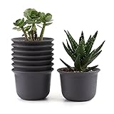 T4U 13CM プラスチック植木鉢 ラウンド 多肉植物 サボテン鉢 フラワーポット プランター容器 黄褐色 8個入り